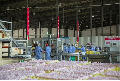 抖音電商 遇見好國貨 助力品牌煥新,傳統日化工廠在抖音商城完成轉型