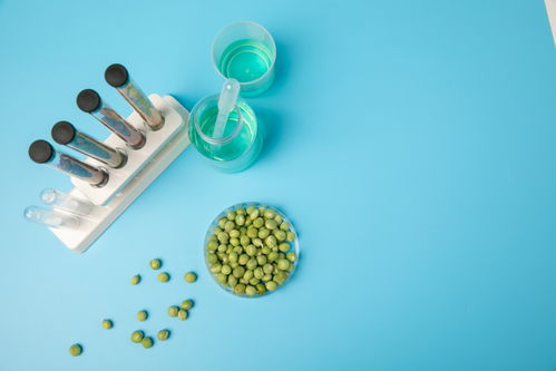 嫩豌豆食品安全農(nóng)業(yè)科技食品培育攝影圖 插畫(huà) 下載至來(lái)源處